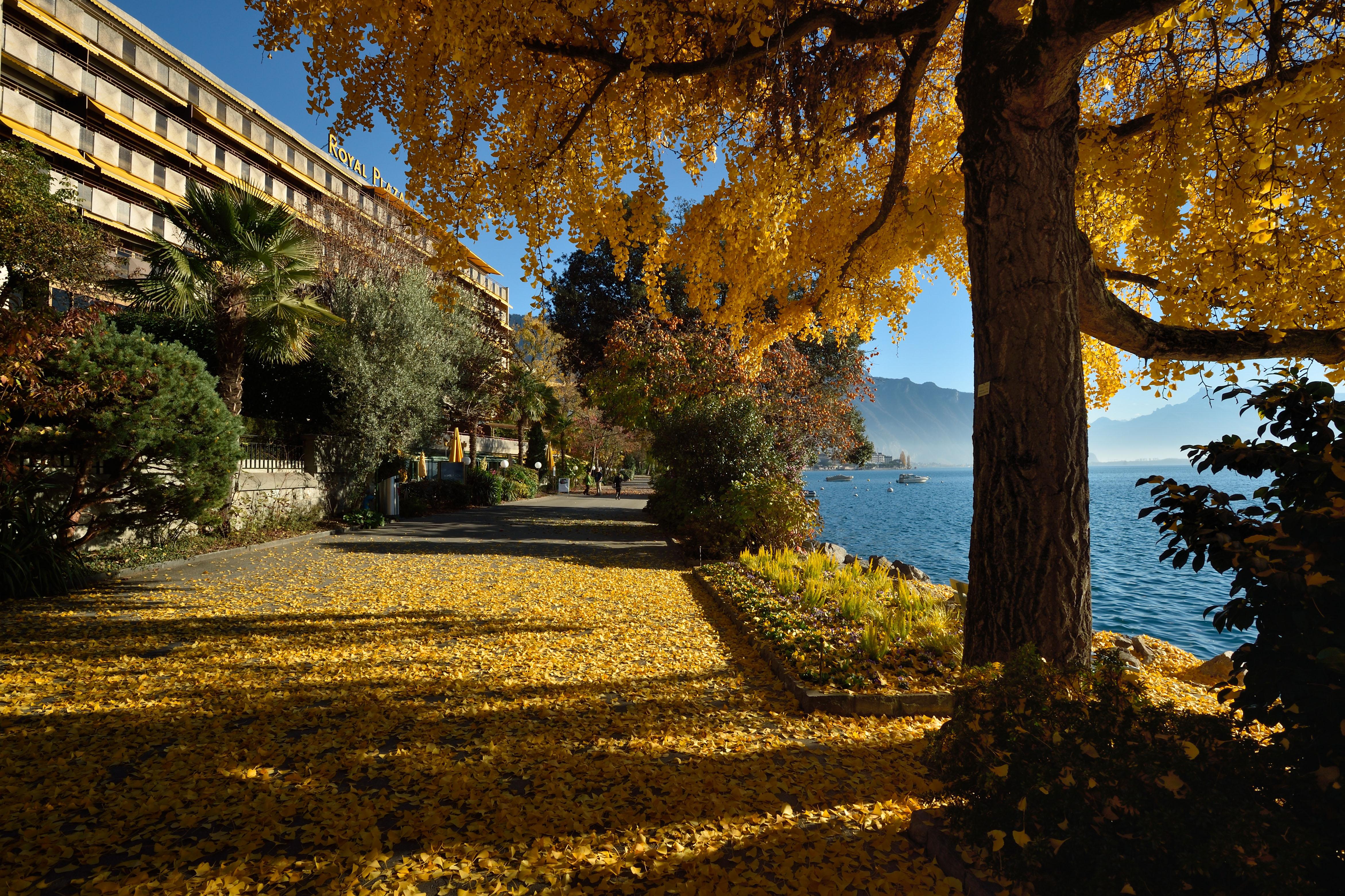 Hotel Royal Plaza Montreux&Spa Exterior foto